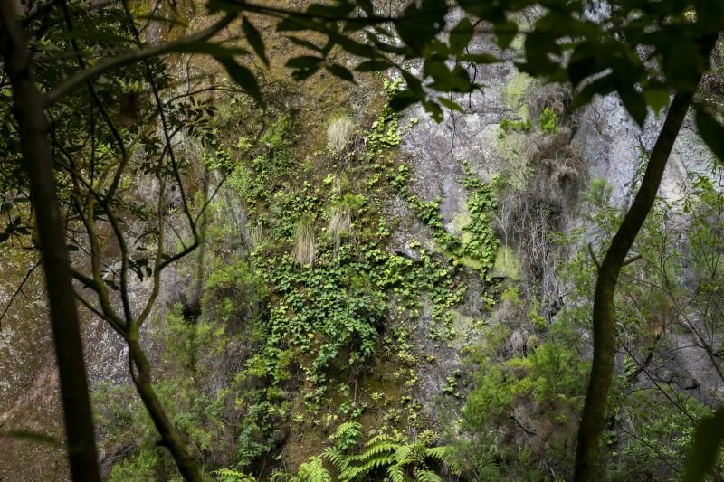 No vender productos que destruyan los bosques