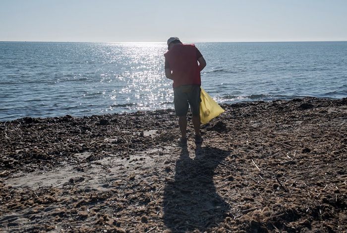 Miles de voluntarios recogerán basura de playas y mares