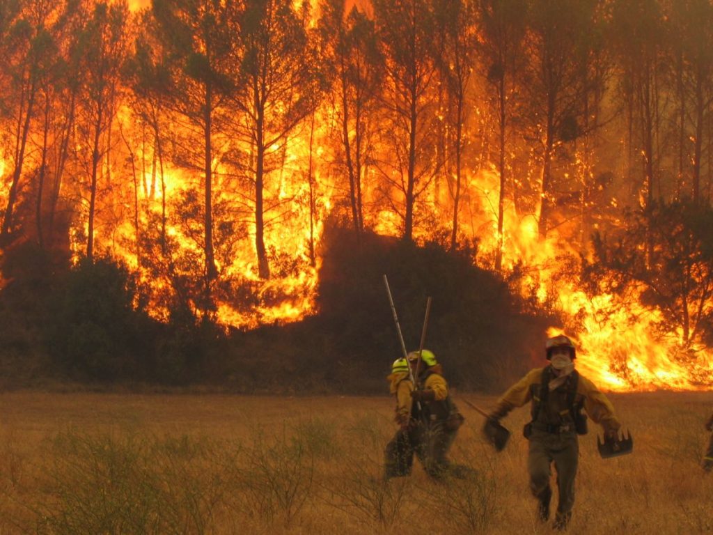 España vive el tercer peor año en grandes incendios forestales de los últimos 30 años
