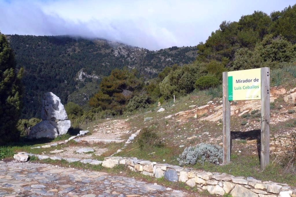 Declaración de Espacio Natural a la Sierra de las Nieves y sus órganos de gestión