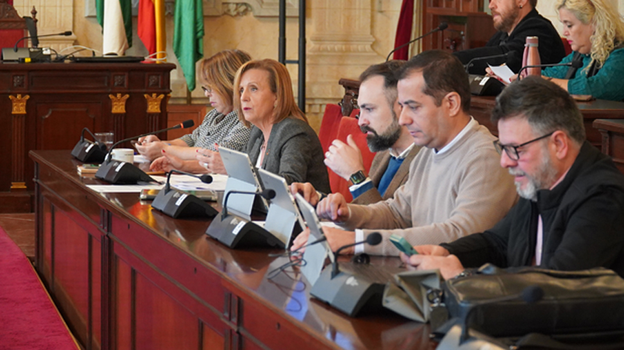 El PSOE pide un plan de eficiencia energética en las calles de Málaga