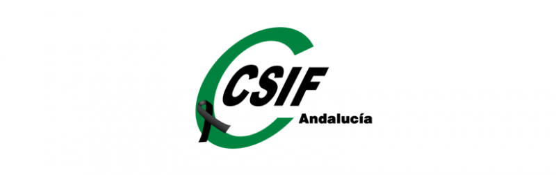CSIF-A condena el asesinato de una mujer de 46 años en Marbella