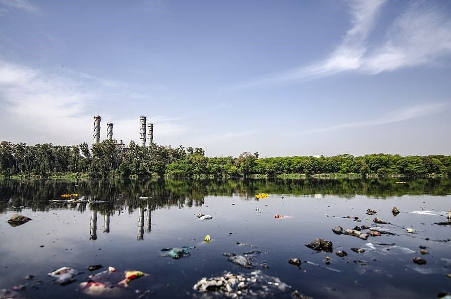 Hallan contaminación en el suelo de zonas naturales próximas a ciudades de todo el mundo