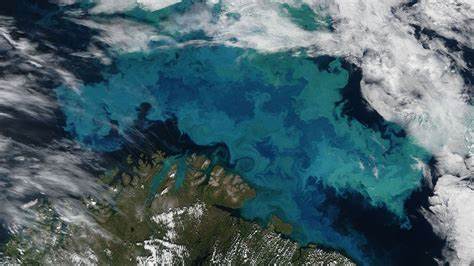 El color de los océanos está cambiando por el cambio climático, al modificar ecosistemas esenciales