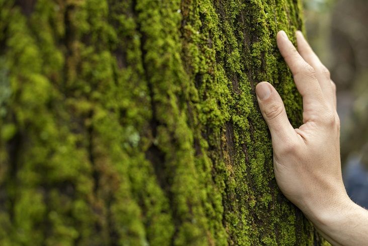 La Tierra entra hoy en ‘números rojos’ al agotar la humanidad los recursos naturales del año