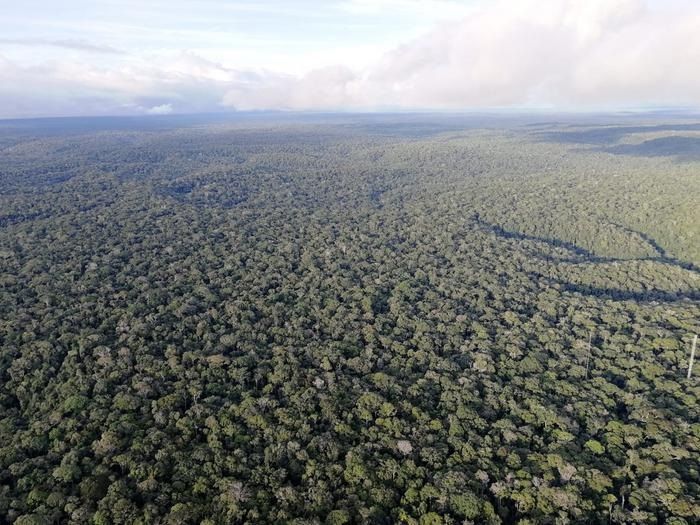 La deforestación del Amazonas calienta las tierras hasta 100 kilómetros de distancia