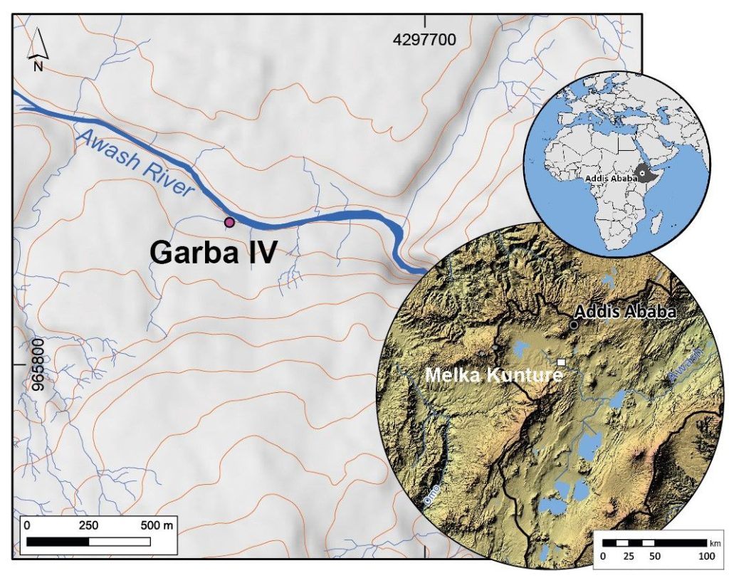 Una mandíbula infantil permite datar al Homo erectus hace dos millones de años