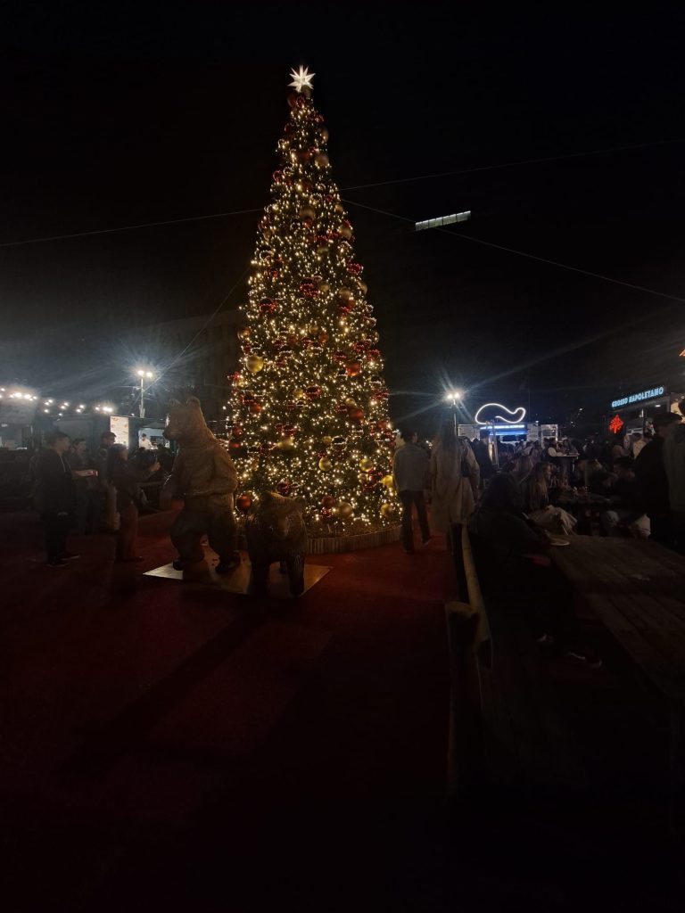 Y llega la Navidad… y esas luces.