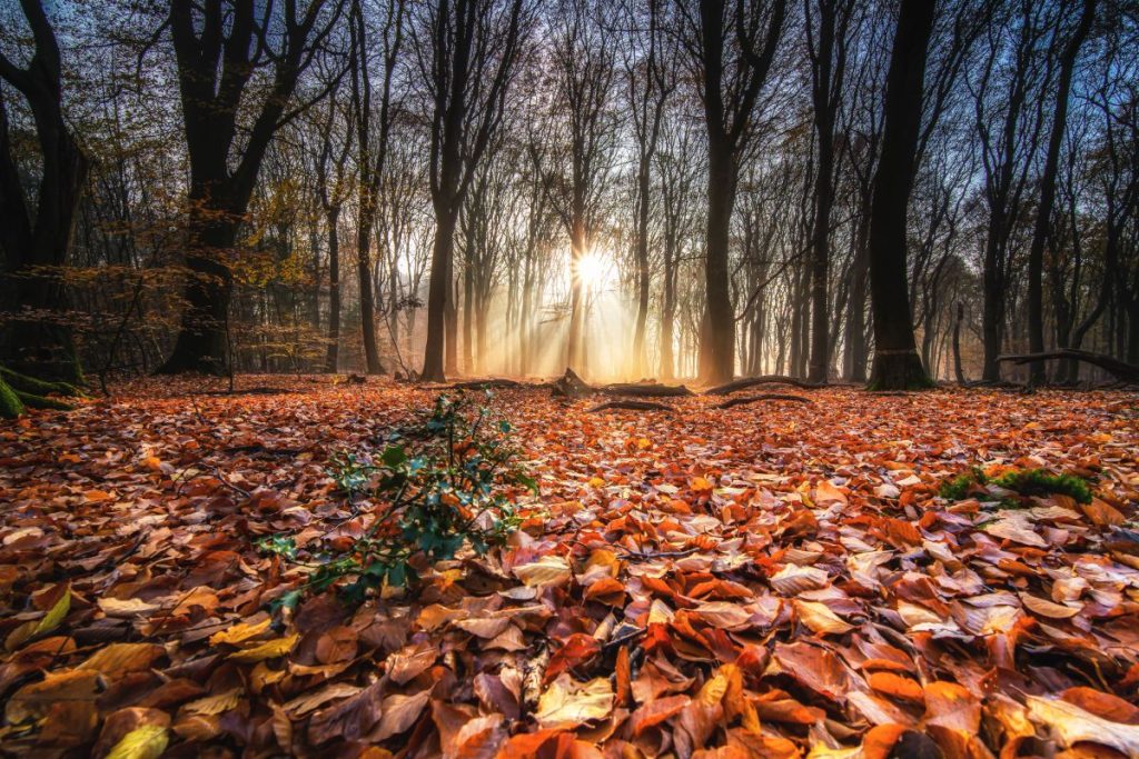 El otoño encara su último mes con sol, frío en el norte y heladas nocturnas