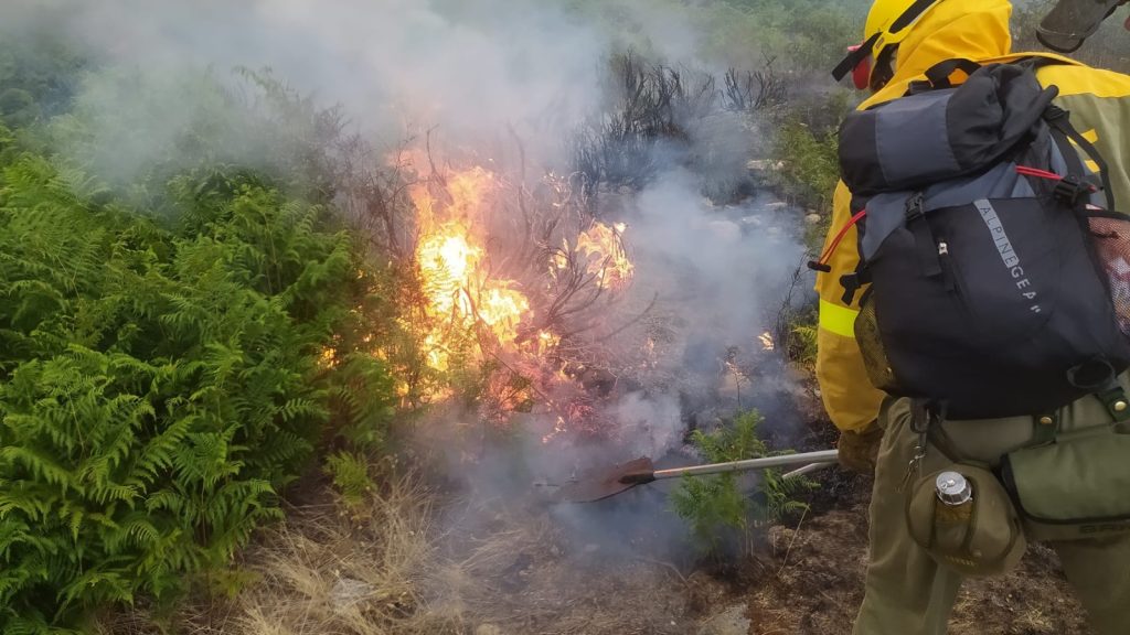 Descenso del 9,9% en la superficie forestal arrasada por incendios en España