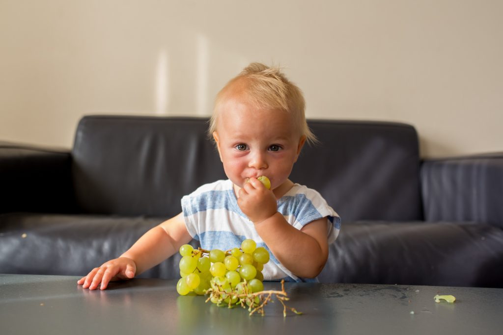 Riesgo de asfixia por uvas en niños, mayores de 65 años