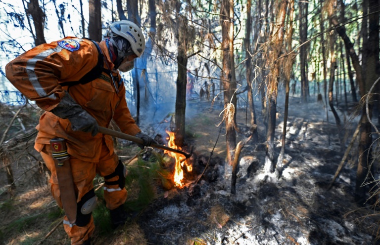 Colombia declara calamidad pública por incendios forestales asociados al fenómeno de El Niño