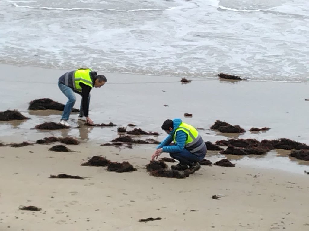 Microplásticos llegan a la costa cántabra: nivel 2 de emergencia activado