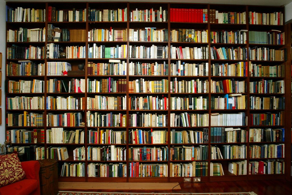 La RAE ofrece acceso gratuito a más de 4800 obras con su Biblioteca Digital