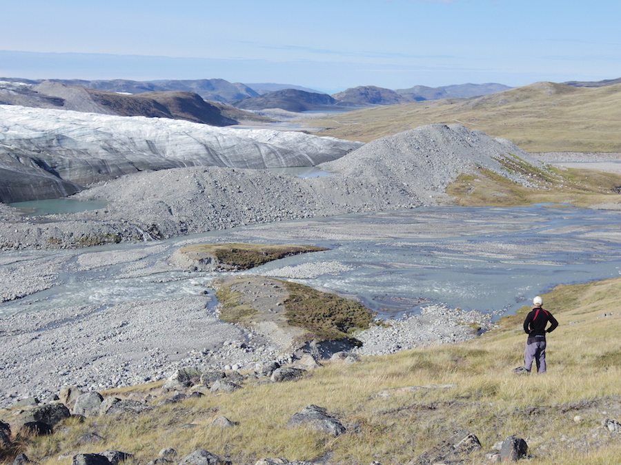 La vegetación reemplaza la capa de hielo en Groenlandia