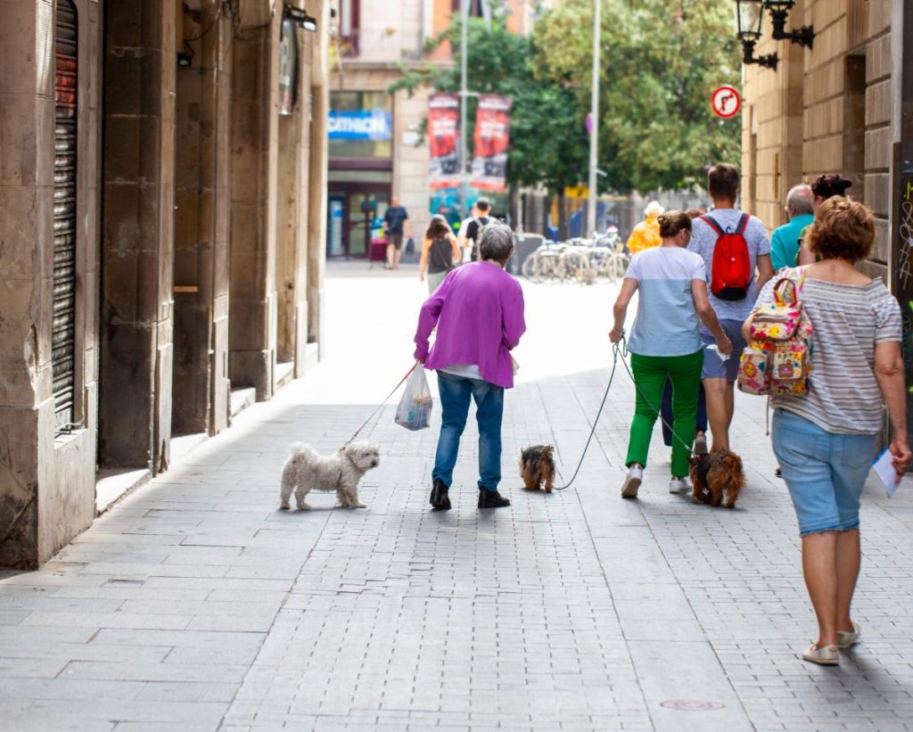 España lidera el ranking de esperanza de vida en la UE, seguida de cerca por Italia y Malta