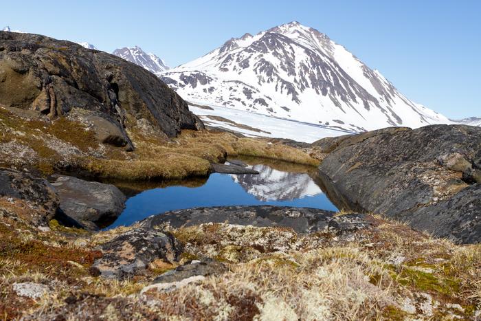 Advierten sobre fragilidad de la capa de hielo en Groenlandia