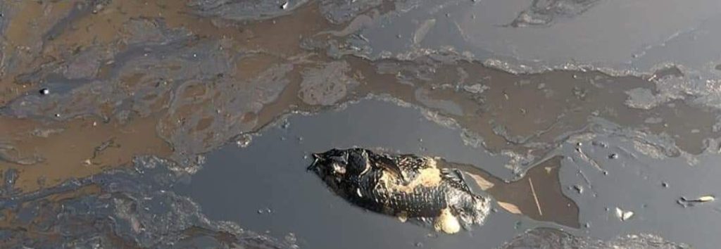 Derrame de hidrocarburos en Veracruz no es atendido