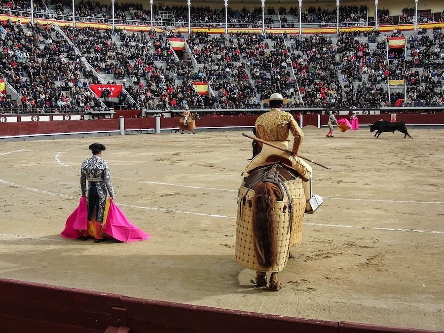 No me gusta que a los toros…