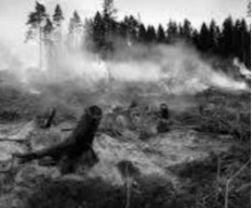 Entre sus dedos, cenizas.- una particular y necesaria visión de Sebastião Salgado
