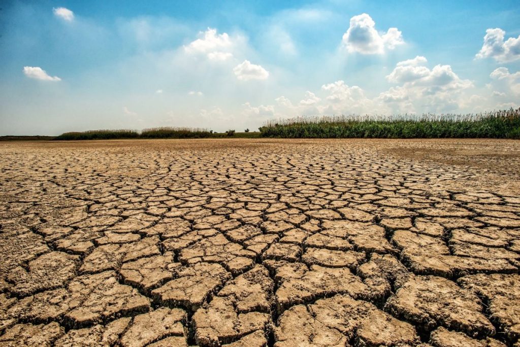 Informe presentado en la cumbre COP16 en Riad