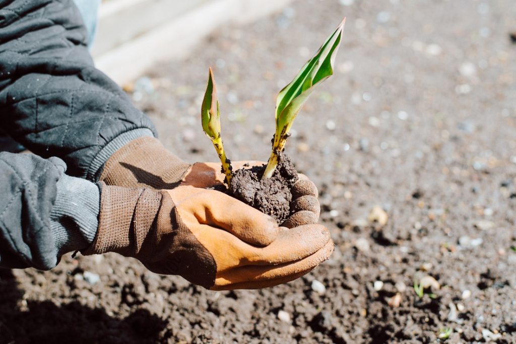 España: Aumento en biodiversidad e I+D medioambiental