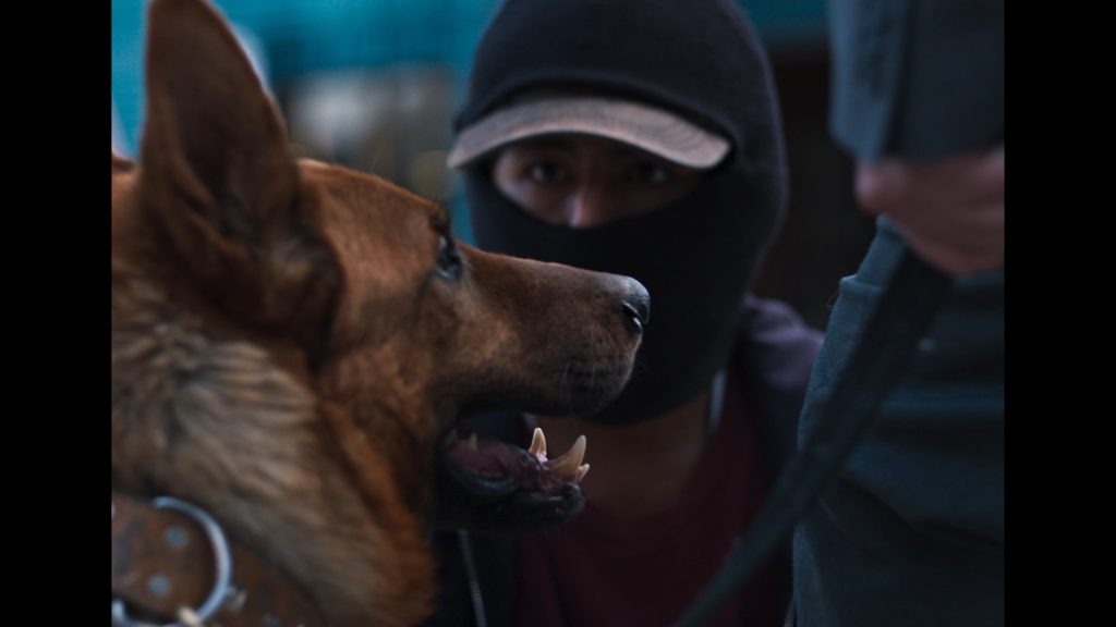 “El ladrón de perros” se lleva la Biznaga de Oro