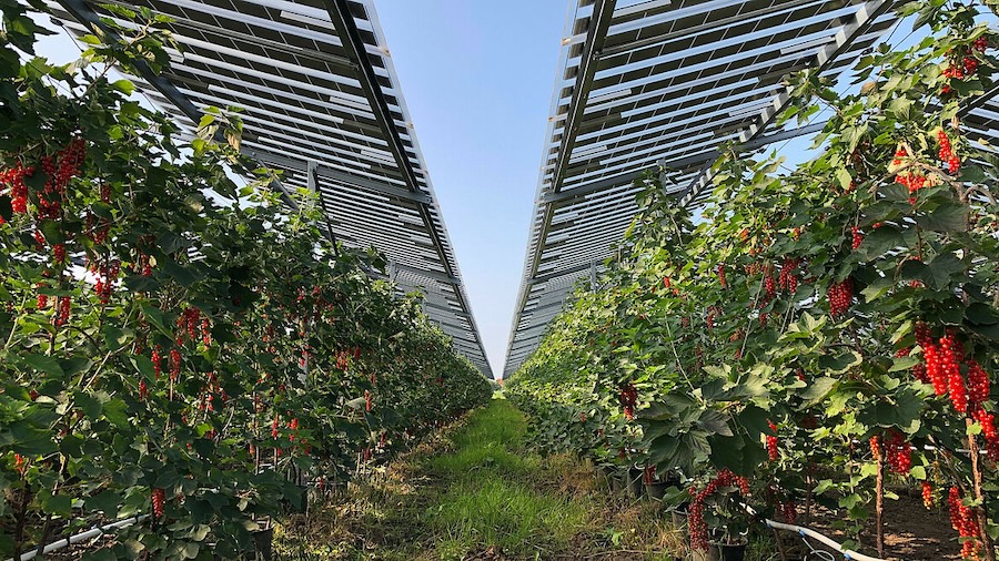 La UNEF organiza un encuentro para innovar en sostenibilidad agrícola