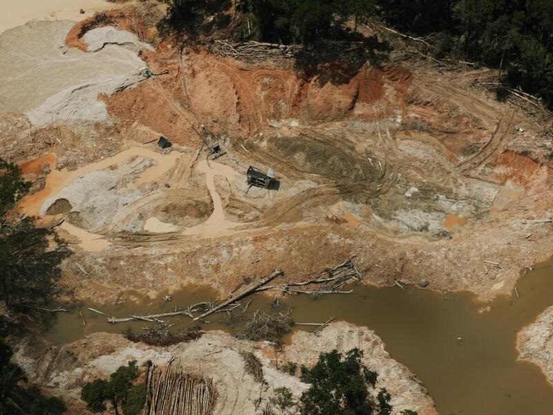 Greenpeace denuncia destrucción de selva amazónica por minería ilegal