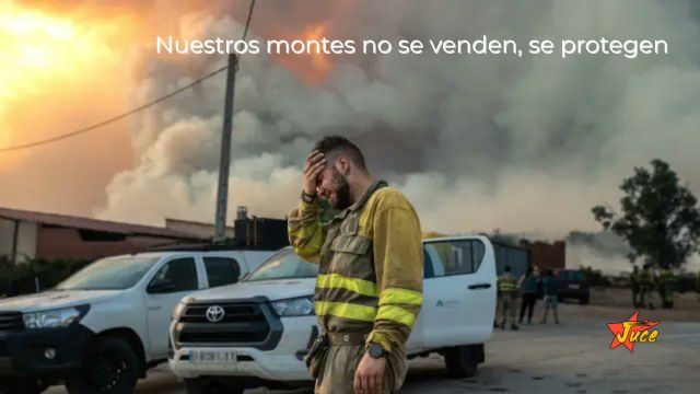 Nuestros montes no se venden, se protegen