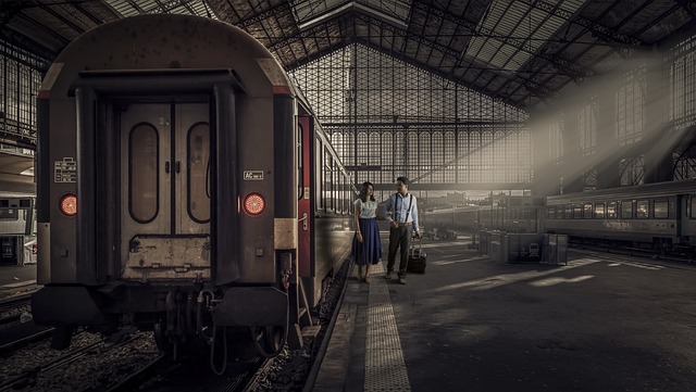 Los perros medievales, los trenes y la estacion sin nombre de Ávila