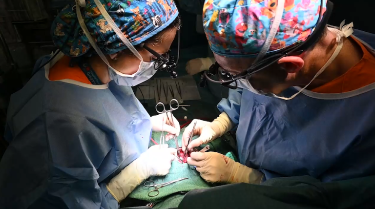España marca un hito médico con trasplante parcial en bebé
