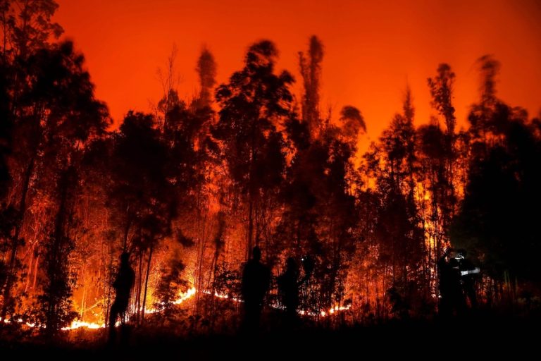 La Patagonia no se mira: se disputa Testimonio personal