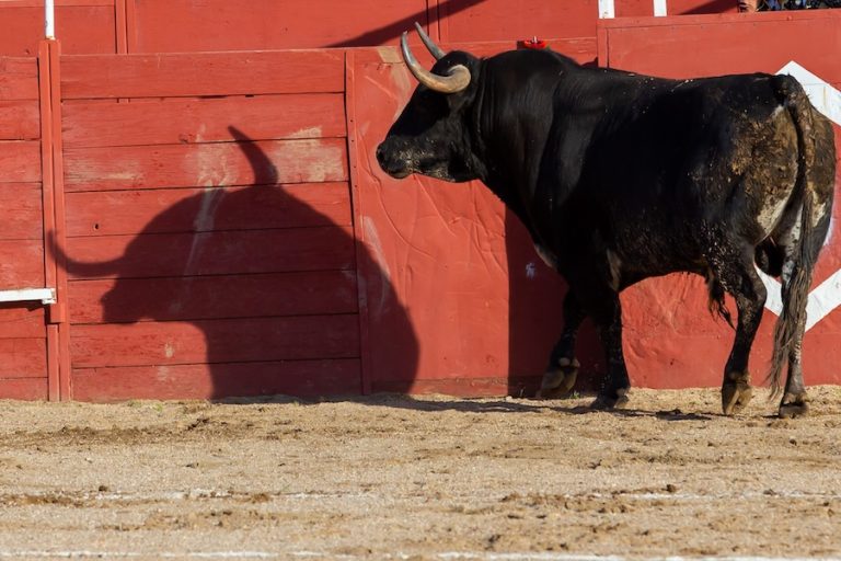 El Gobierno prohíbe los espectáculos taurinos que denigren a personas con discapacidad