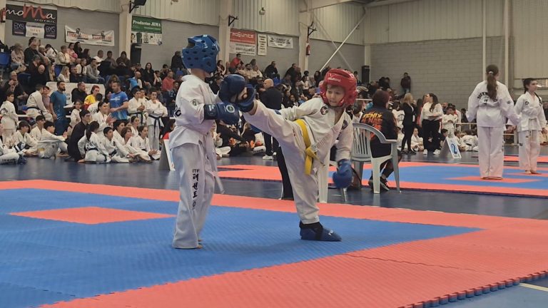 Buen ambiente, familiaridad y combates de nivel en la Copa Ciudad de Motril de Taekwon-Do ITF 2026