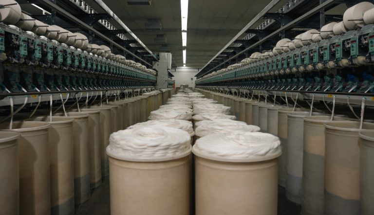 LA INDUSTRIA TEXTIL DE ARGENTINA ATRAVIESA UNA PROFUNDA CRISIS ESTRUCTURAL Y DE CONSUMO