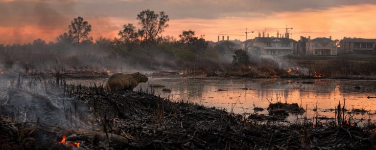 COMO DUELES ARGENTINA- QUE PASARA CON LA LEY DE FUEGOS EMPAQUETADA EN LA LEY DE TIERRAS